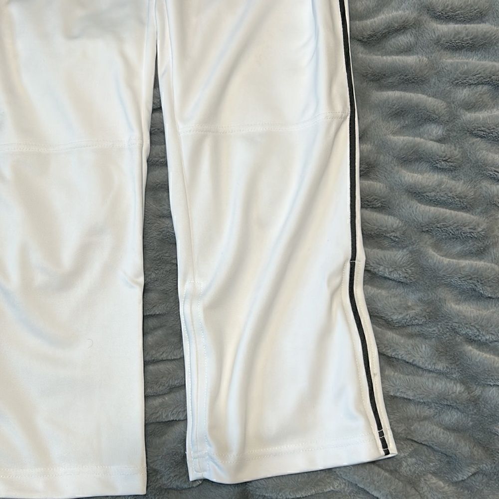 ChampPro Baseball Pants - Picture 3 of 9